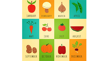 12 seasonal vegetables and fruits vector material