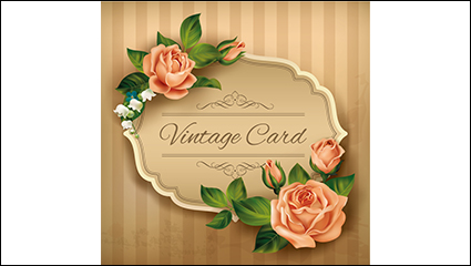Vintage pink roses card vector material