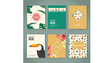 6 Tropical flower card vector material