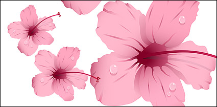 Water with pink flowers vector material