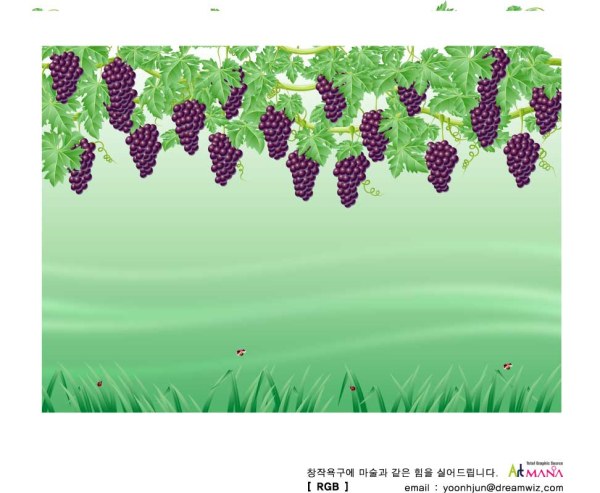 Grapevine Vector