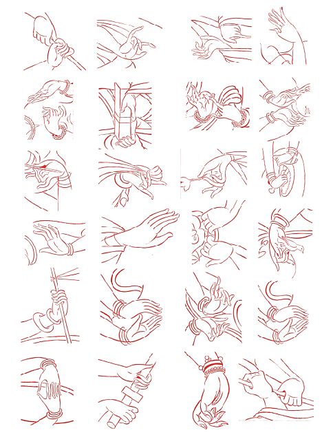 Bergamot vector material