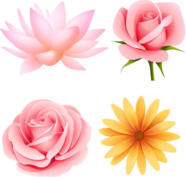 Beautiful small flowers vector material -4