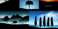 Beautiful scenery silhouette vector material