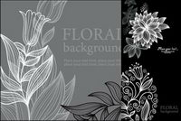 Beautiful line vector material