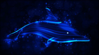 Colorful Dolphin 01 - vector material