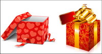gift vector