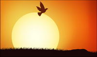 bird populations under the Sunset vector material