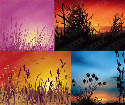Vector sunset scenery