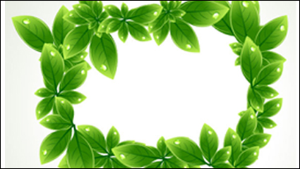 Green leaf shape border 03 - vector