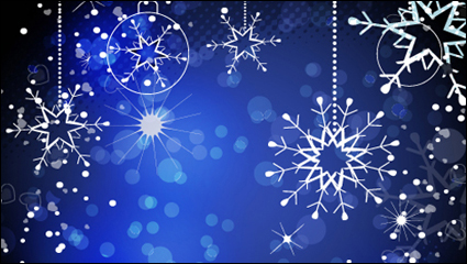 The gorgeous Christmas background 05 - Vector material