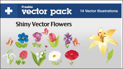 Beautiful flowers - vector
