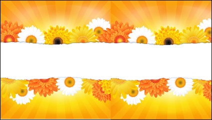 Flowers petals lace background 04 - Vector