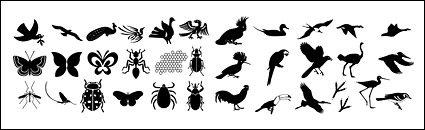 Hundreds of the elements of nature in Pictures vector material