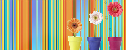 Summer Korean style background material layered psd-10