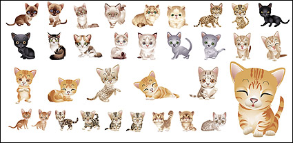 lovely small cat vector material